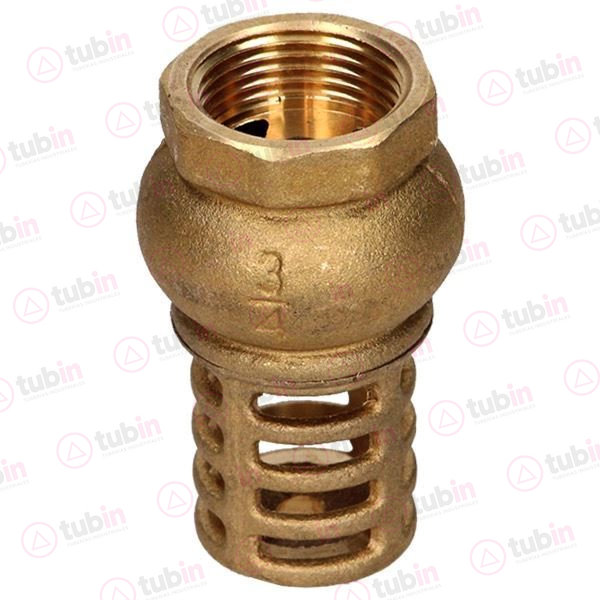 imagen 2 de Válvula De Pie O Pichancha Con Canastilla De Bronce Marca Dica